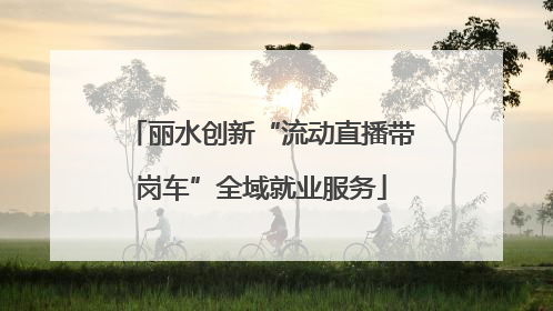 丽水创新“流动直播带岗车”全域就业服务