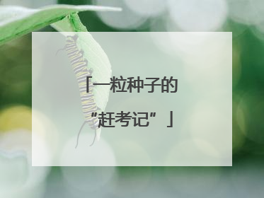 一粒种子的“赶考记”