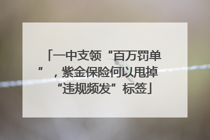 一中支领“百万罚单”，紫金保险何以甩掉“违规频发”标签