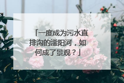一度成为污水直排沟的滏阳河，如何成了景观？
