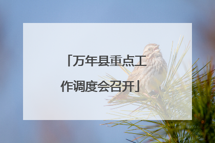 万年县重点工作调度会召开