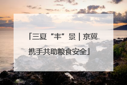 三夏“丰”景｜京冀携手共助粮食安全