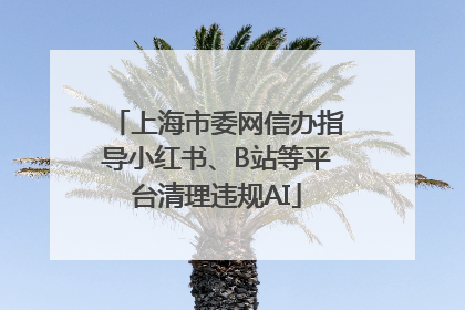 上海市委网信办指导小红书、B站等平台清理违规AI