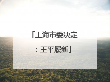 上海市委决定：王平履新