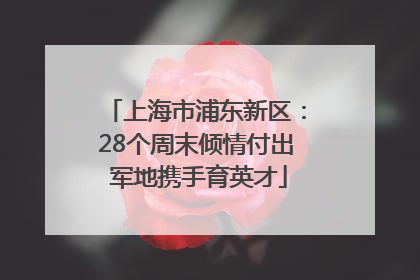 上海市浦东新区：28个周末倾情付出 军地携手育英才