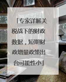 专家详解关税战下的财政数据，短期财政增量政策出台可能性小
