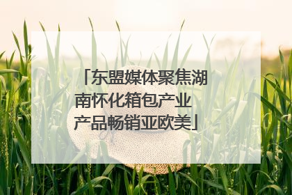 东盟媒体聚焦湖南怀化箱包产业 产品畅销亚欧美