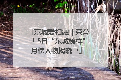 东城爱相融｜荣誉！5月“东城榜样”月榜人物揭晓→