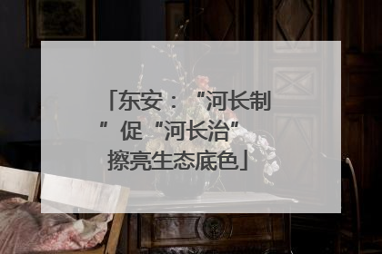 东安：“河长制”促“河长治” 擦亮生态底色