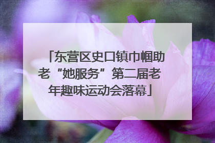 东营区史口镇巾帼助老“她服务”第二届老年趣味运动会落幕