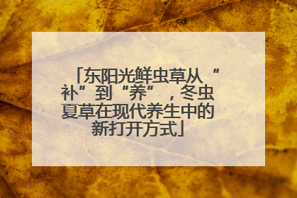 东阳光鲜虫草从“补”到“养”，冬虫夏草在现代养生中的新打开方式