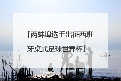 两蚌埠选手出征西班牙桌式足球世界杯