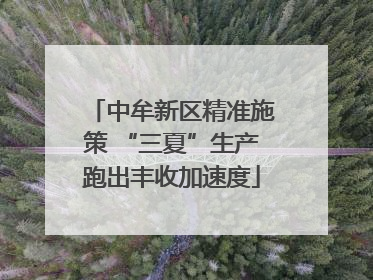 中牟新区精准施策 “三夏”生产跑出丰收加速度