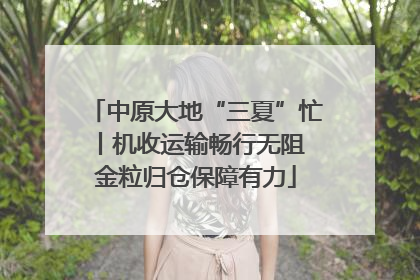 中原大地“三夏”忙丨机收运输畅行无阻 金粒归仓保障有力