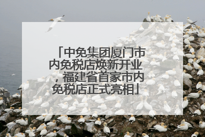 中免集团厦门市内免税店焕新开业，福建省首家市内免税店正式亮相