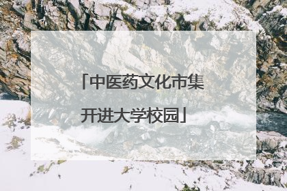 中医药文化市集开进大学校园