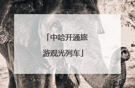 中哈开通旅游观光列车