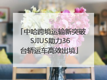 中哈跨境运输新突破 SJIUS助力36台轿运车高效出境