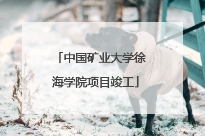 中国矿业大学徐海学院项目竣工