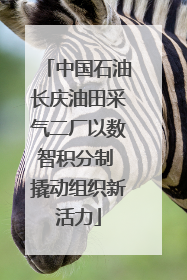 中国石油长庆油田采气二厂以数智积分制 撬动组织新活力