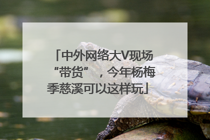 中外网络大V现场“带货”，今年杨梅季慈溪可以这样玩