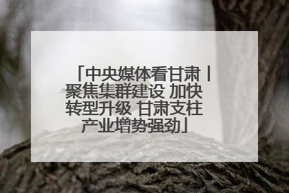 中央媒体看甘肃丨聚焦集群建设 加快转型升级 甘肃支柱产业增势强劲