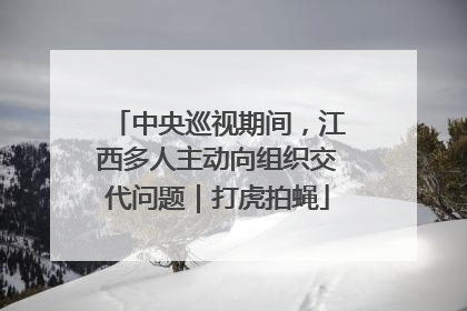 中央巡视期间，江西多人主动向组织交代问题｜打虎拍蝇