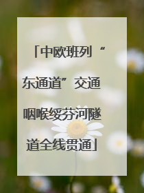 中欧班列“东通道”交通咽喉绥芬河隧道全线贯通