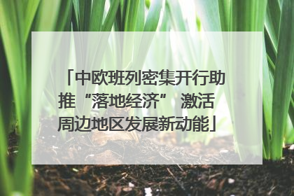 中欧班列密集开行助推“落地经济” 激活周边地区发展新动能