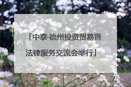 中泰·德州投资贸易暨法律服务交流会举行