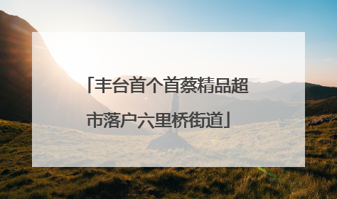 丰台首个首蔡精品超市落户六里桥街道