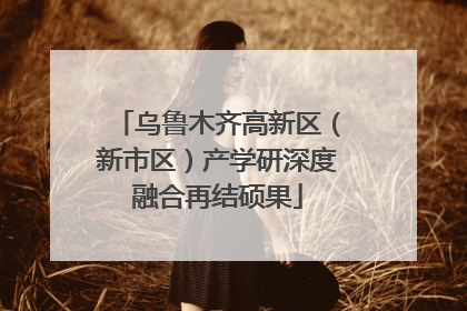 乌鲁木齐高新区（新市区）产学研深度融合再结硕果