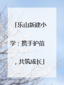 乐山新建小学：携手护苗，共筑成长