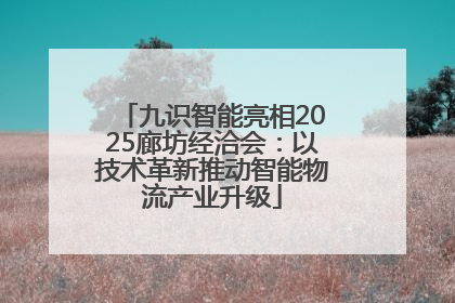 九识智能亮相2025廊坊经洽会：以技术革新推动智能物流产业升级