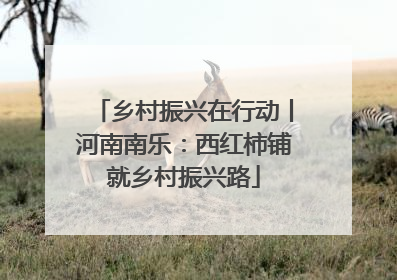 乡村振兴在行动丨河南南乐：西红柿铺就乡村振兴路