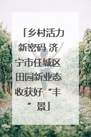 乡村活力新密码 济宁市任城区田园新业态收获好“丰”景