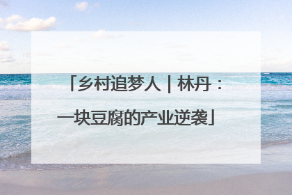 乡村追梦人｜林丹：一块豆腐的产业逆袭
