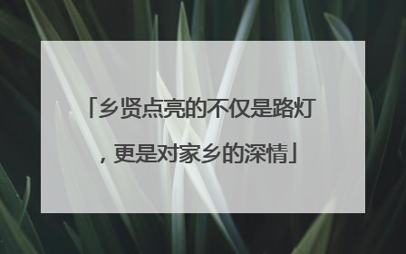 乡贤点亮的不仅是路灯，更是对家乡的深情