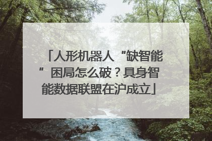 人形机器人“缺智能”困局怎么破？具身智能数据联盟在沪成立
