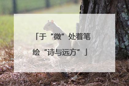 于“微”处着笔 绘“诗与远方”