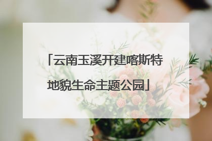 云南玉溪开建喀斯特地貌生命主题公园