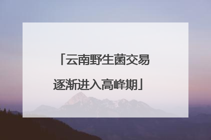 云南野生菌交易逐渐进入高峰期