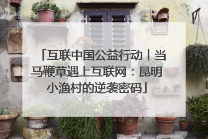 互联中国公益行动丨当马鞭草遇上互联网：昆明小渔村的逆袭密码