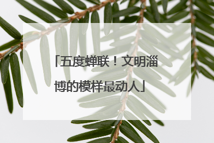 五度蝉联！文明淄博的模样最动人