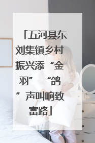 五河县东刘集镇乡村振兴添“金羽” “鸽”声叫响致富路