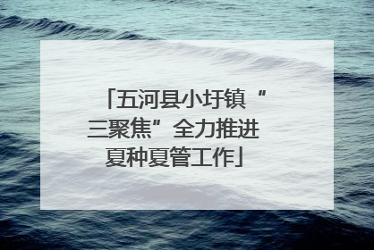 五河县小圩镇“三聚焦”全力推进夏种夏管工作