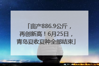 亩产886.9公斤，再创新高！6月25日，青岛夏收夏种全部结束