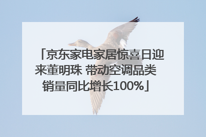 京东家电家居惊喜日迎来董明珠 带动空调品类销量同比增长100%