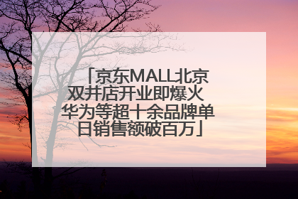 京东MALL北京双井店开业即爆火 华为等超十余品牌单日销售额破百万