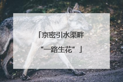 京密引水渠畔“一路生花”